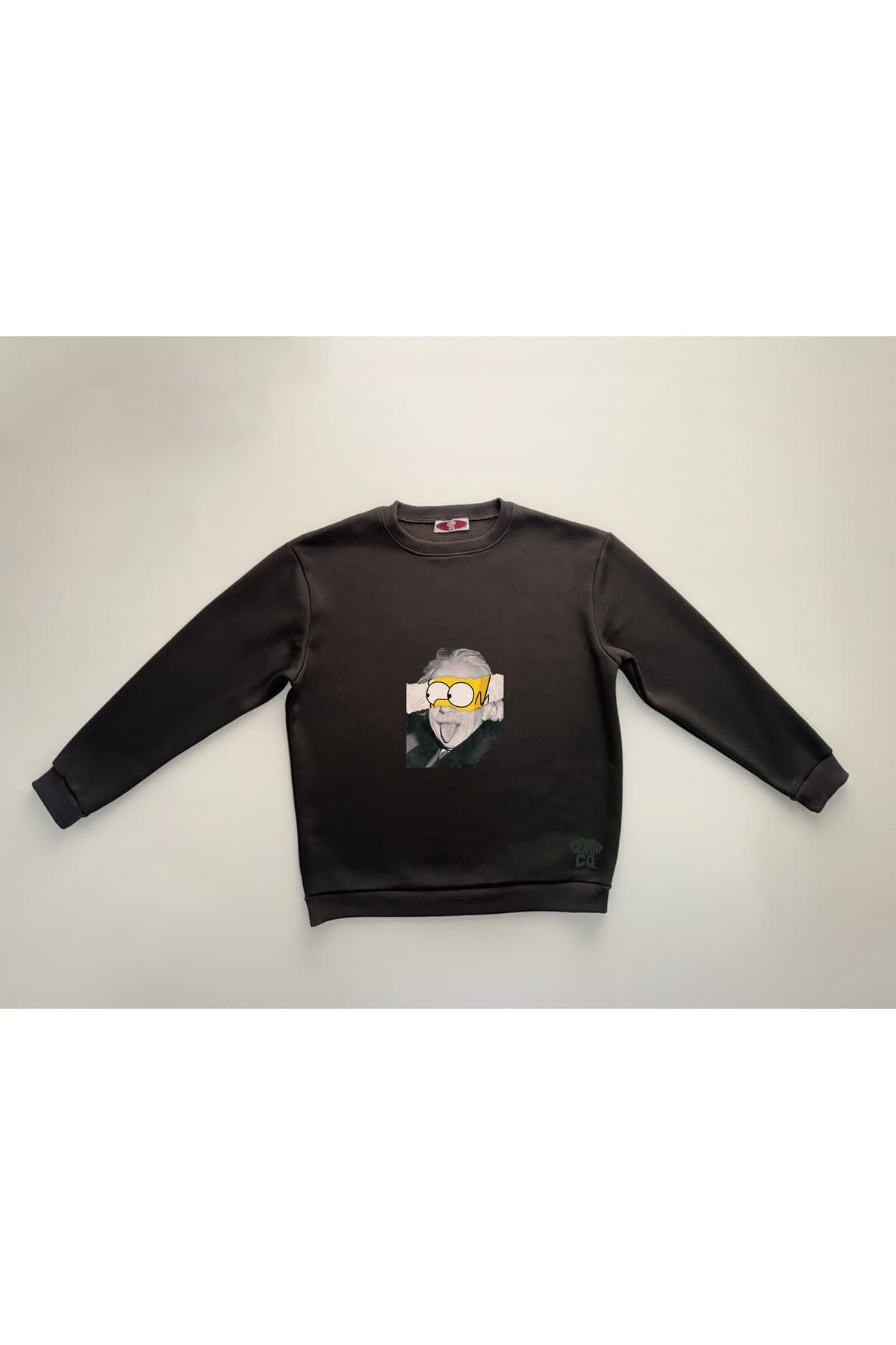 Einstein Baskılı Sweatshirt – Krem